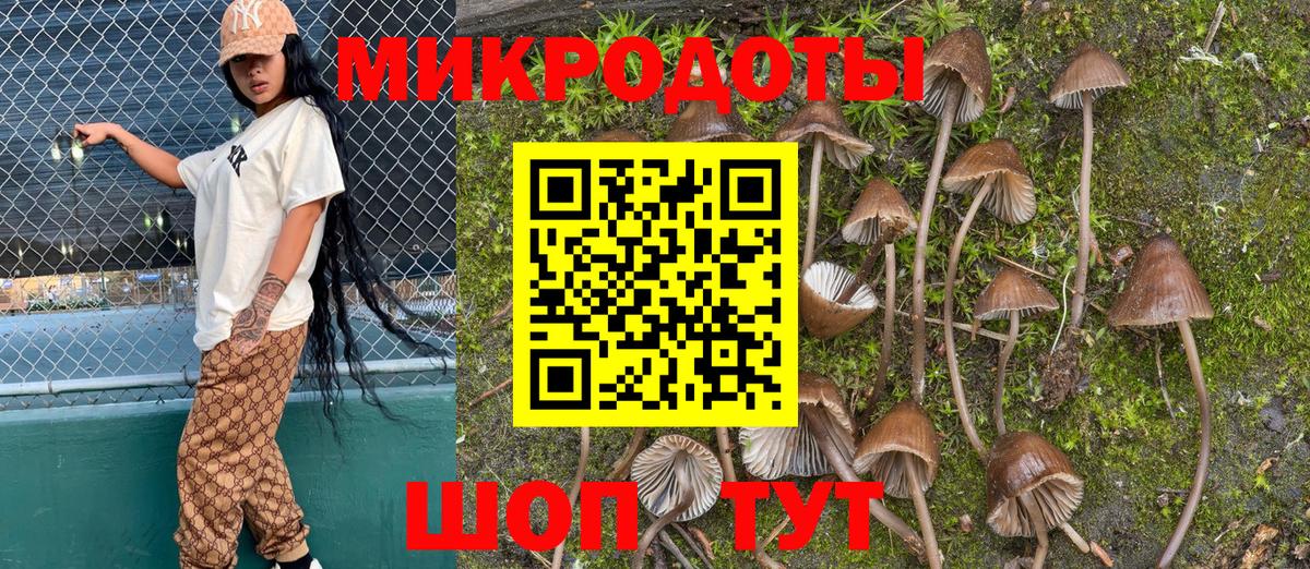 Псилоцибиновые грибы мухоморы  Вход с VPN  Анапа 
